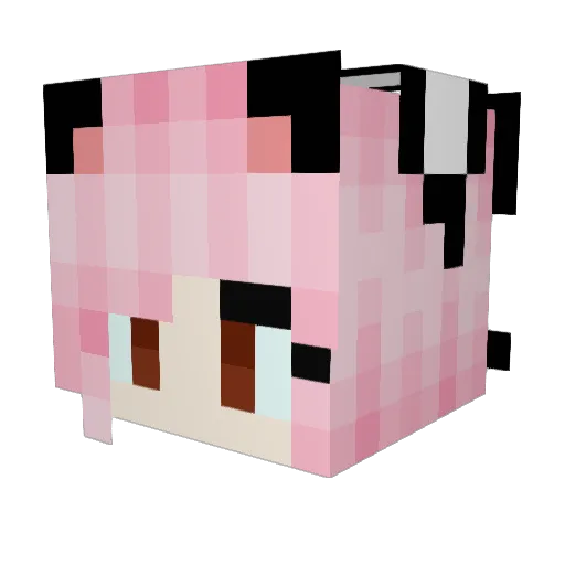 Knirps_ Minecraft avatar head, 3D render