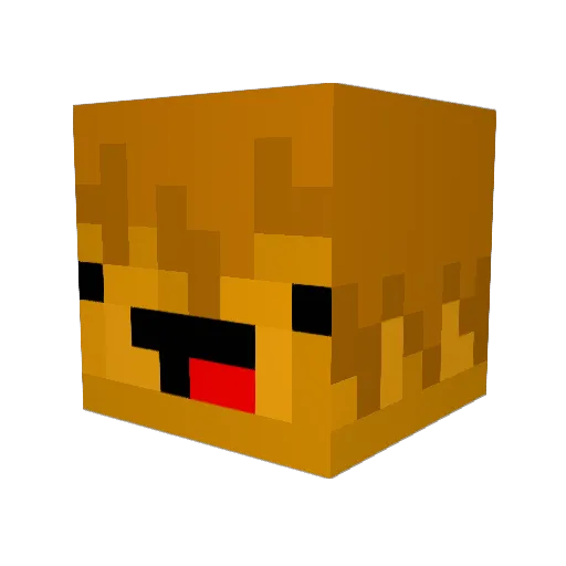 Knit_ler Minecraft avatar head, 3D render
