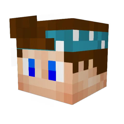 KnockbackTiger Minecraft avatar head, 3D render
