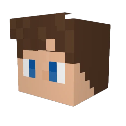 KnockbagPenguin Minecraft avatar head, 3D render