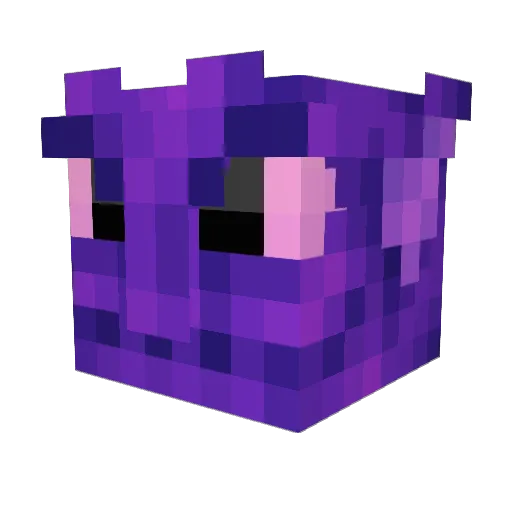 Knoet Minecraft avatar head, 3D render