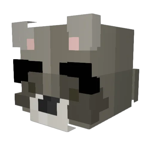 Knolage Minecraft avatar head, 3D render