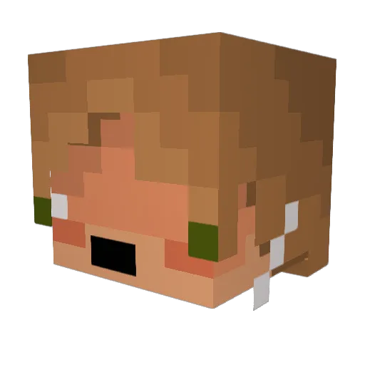 Knorpot Minecraft avatar head, 3D render