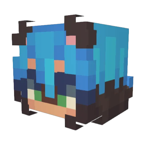 KnotAFurry5209 Minecraft avatar head, 3D render