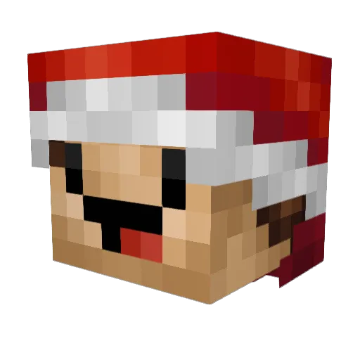 KnottenJr Minecraft avatar head, 3D render