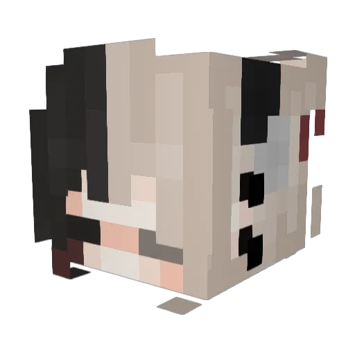 KnowLdge Minecraft avatar head, 3D render