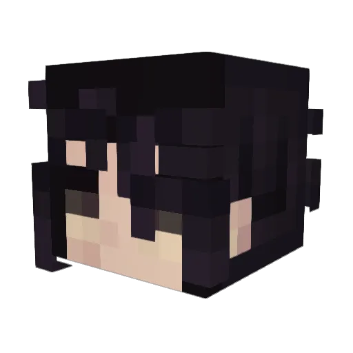 Knowitallgamer9 Minecraft avatar head, 3D render