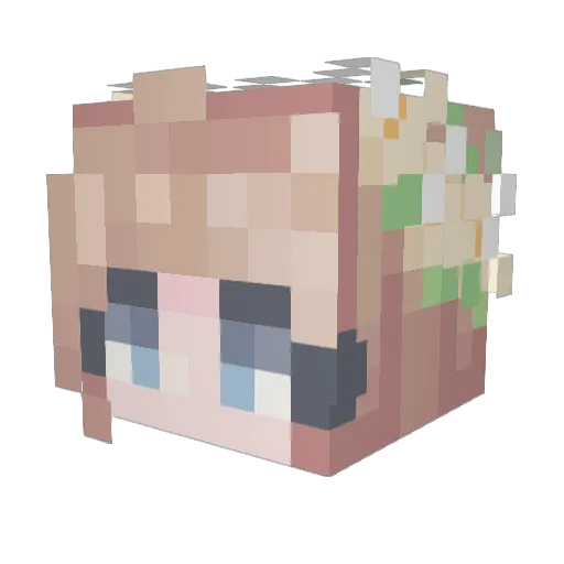 Knox242 Minecraft avatar head, 3D render