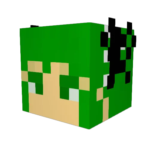Knoxinton Minecraft avatar head, 3D render