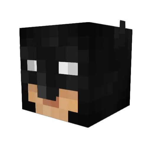 Knoxy99 Minecraft avatar head, 3D render