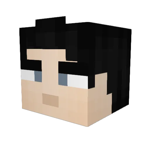 Knucklesfan Minecraft avatar head, 3D render