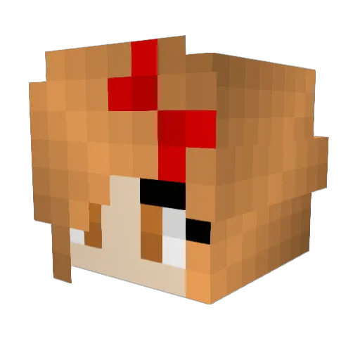 KnuddelHasi1998 Minecraft avatar head, 3D render