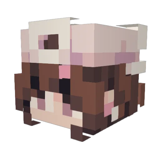 Knuddelsweet Minecraft avatar head, 3D render