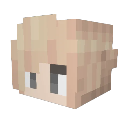 Knuffelbaar Minecraft avatar head, 3D render