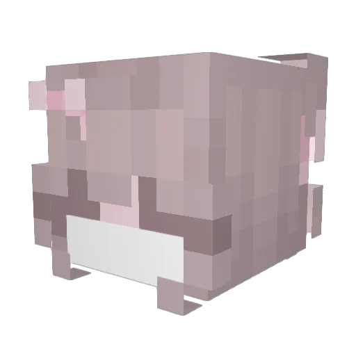 Knugi02 Minecraft avatar head, 3D render