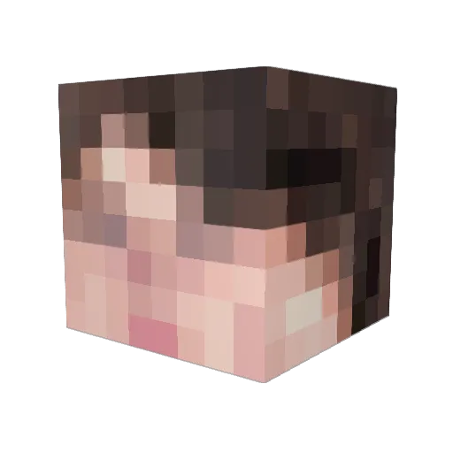 Knuspay Minecraft avatar head, 3D render