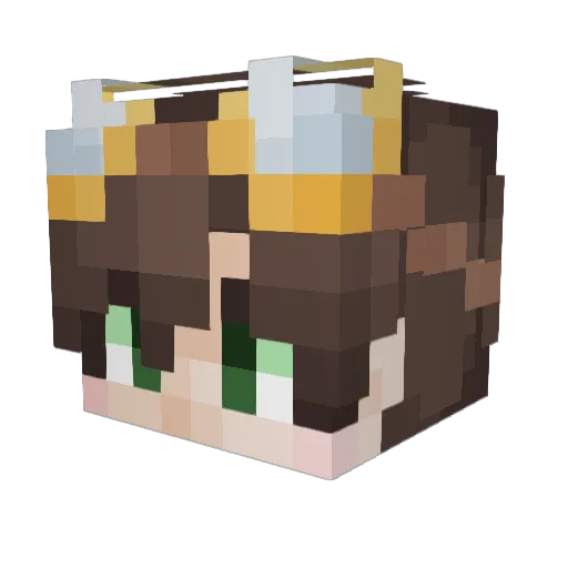 KnusprigeHummel Minecraft avatar head, 3D render