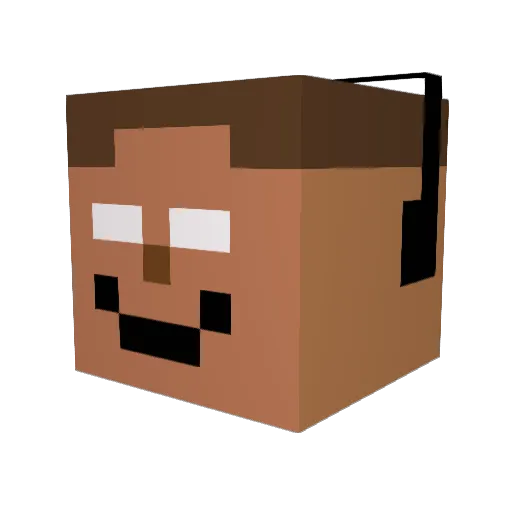 Knut1001 Minecraft avatar head, 3D render