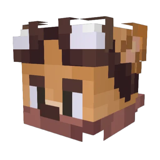 KoALa555 Minecraft avatar head, 3D render
