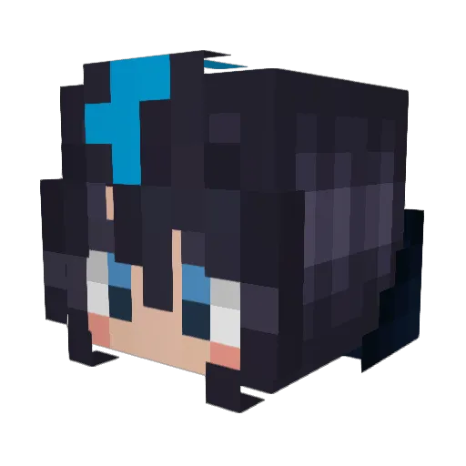 KoKerVT Minecraft avatar head, 3D render