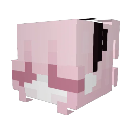 KoLYa___ Minecraft avatar head, 3D render