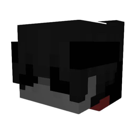 KoNoHa65 Minecraft avatar head, 3D render