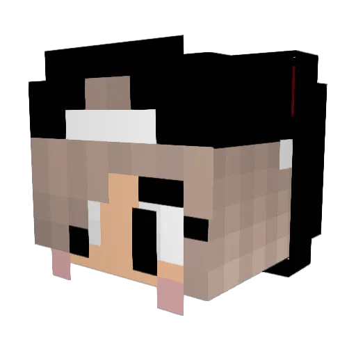 KoRn_Q8 Minecraft avatar head, 3D render