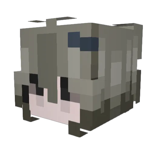 KoTiK1619 Minecraft avatar head, 3D render