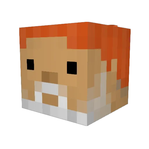 Koakala Minecraft avatar head, 3D render
