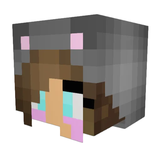 KoalAngie Minecraft avatar head, 3D render