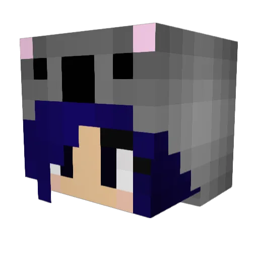 Koala1571 Minecraft avatar head, 3D render