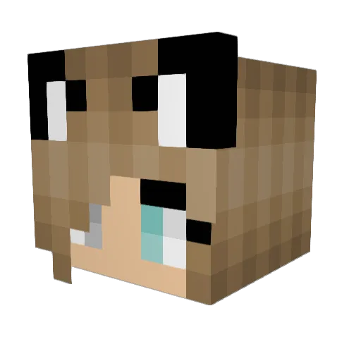 Koala2353 Minecraft avatar head, 3D render
