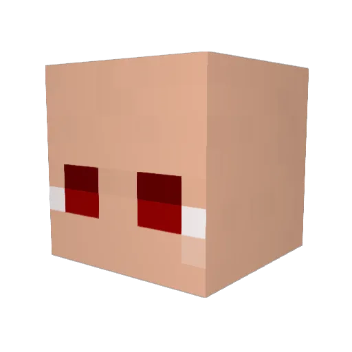 Koala88111 Minecraft avatar head, 3D render
