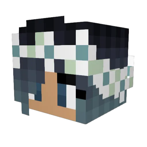 KoalaDancer19 Minecraft avatar head, 3D render