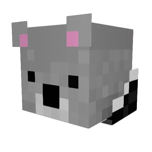KoalaDelicia Minecraft avatar head, 3D render