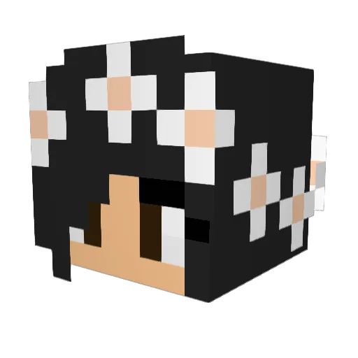 KoalaFranzi Minecraft avatar head, 3D render