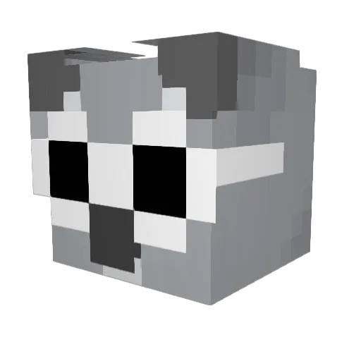 KoalaPilled Minecraft avatar head, 3D render