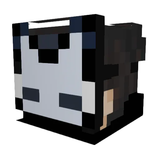 KoalaTK Minecraft avatar head, 3D render