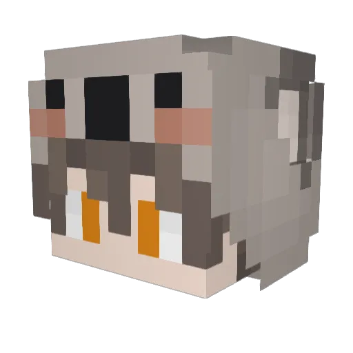 KoalaTeen Minecraft avatar head, 3D render