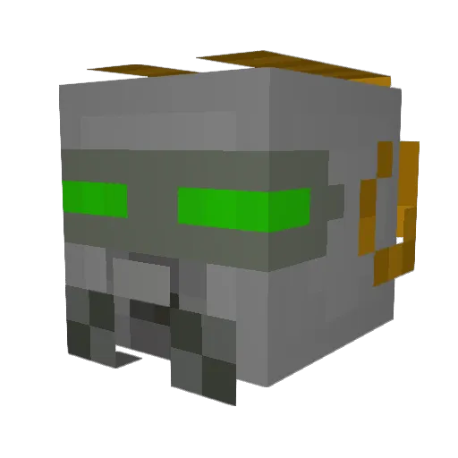 KoalaThePingu Minecraft avatar head, 3D render