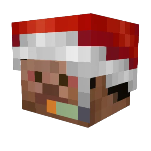 Koala_Fumetas Minecraft avatar head, 3D render
