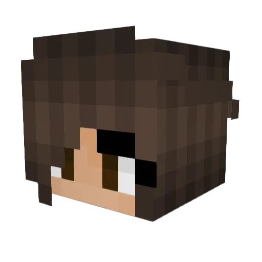 Koala_Kira Minecraft avatar head, 3D render