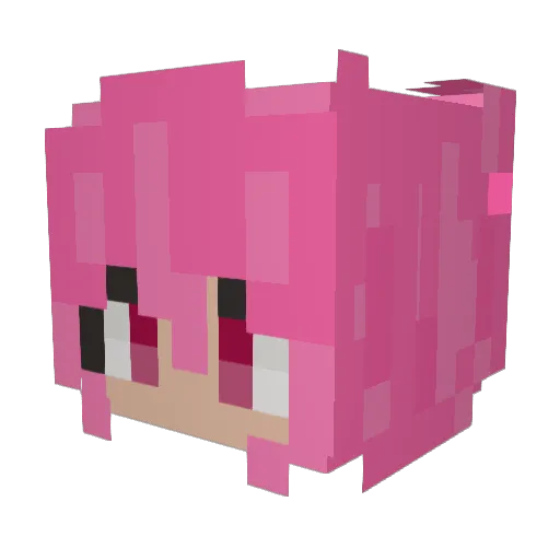 Koala_Passion Minecraft avatar head, 3D render