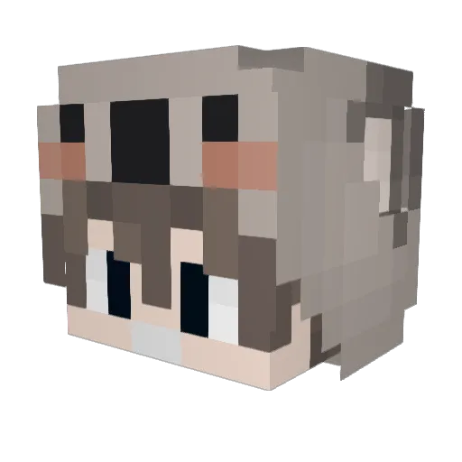 Koala_Quimmi Minecraft avatar head, 3D render