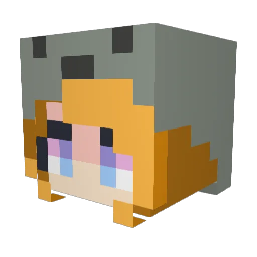 Koala_rulez Minecraft avatar head, 3D render
