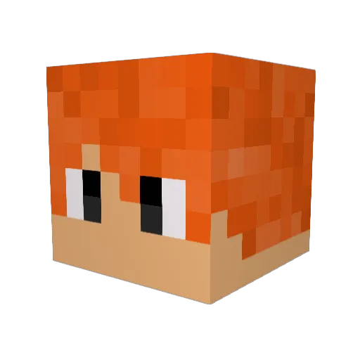 Koalabait Minecraft avatar head, 3D render
