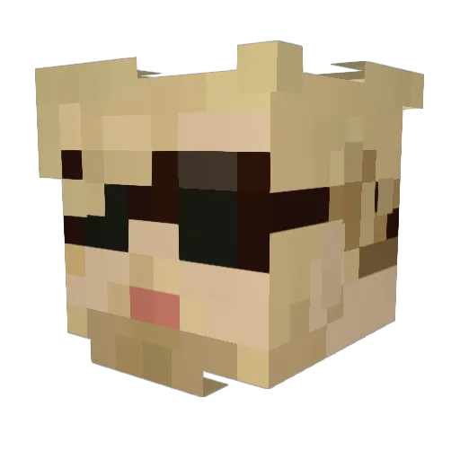 Koalacornio Minecraft avatar head, 3D render