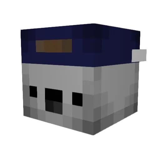 Koalafications_ Minecraft avatar head, 3D render
