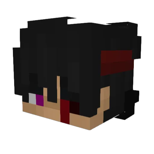 KoalafiedToParty Minecraft avatar head, 3D render