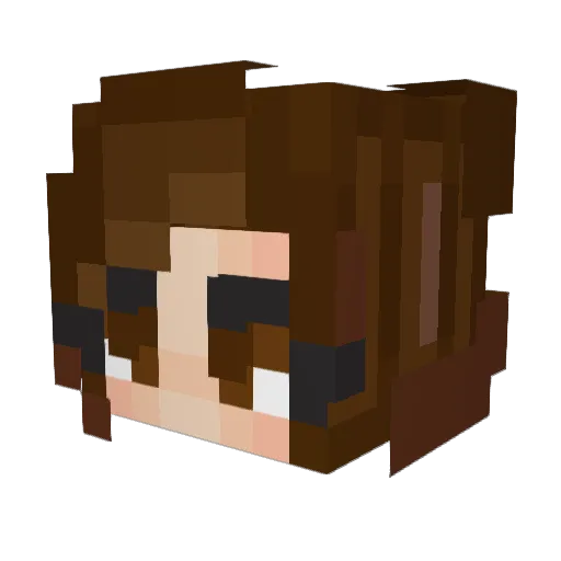 Koalagamermc Minecraft avatar head, 3D render